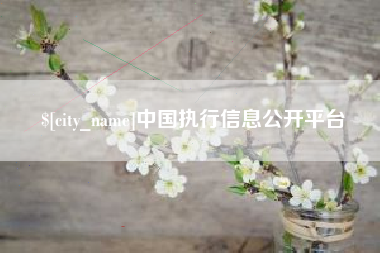 兴化中国执行信息公开平台
