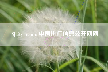 兴化中国执行信息公开网网