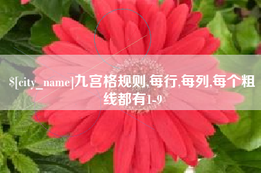 兴化九宫格规则,每行,每列,每个粗线都有1-9