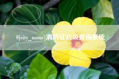 兴化消防证初级查询系统