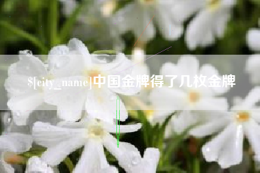 兴化中国金牌得了几枚金牌