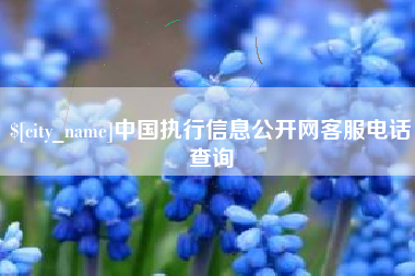 兴化中国执行信息公开网客服电话查询