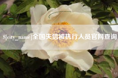兴化全国失信被执行人员官网查询