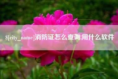 兴化消防证怎么查询,用什么软件
