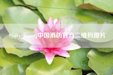 兴化中国消防官方二维码图片