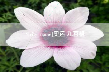 兴化奥运 九宫格