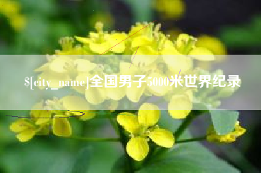 兴化全国男子5000米世界纪录