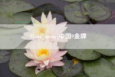 兴化中国9金牌