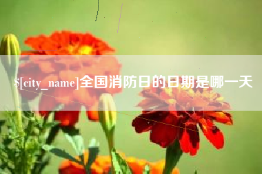 兴化全国消防日的日期是哪一天