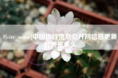 兴化中国执行信息公开网信息更新时间是多久