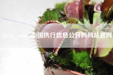 兴化中国执行信息公开网网站官网