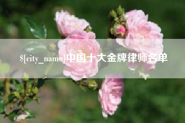 兴化中国十大金牌律师名单