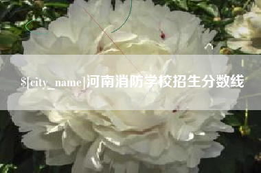 兴化河南消防学校招生分数线