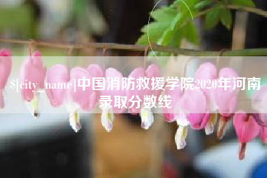 兴化中国消防救援学院2020年河南录取分数线