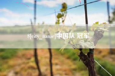 兴化中国队 冠军