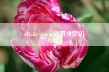 兴化九宫排除法
