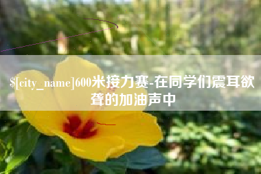兴化600米接力赛-在同学们震耳欲聋的加油声中