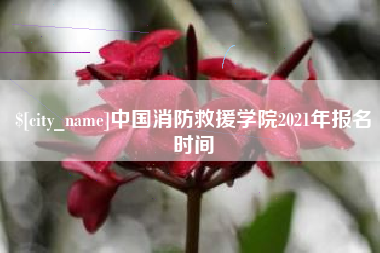 兴化中国消防救援学院2021年报名时间