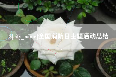 兴化全国消防日主题活动总结