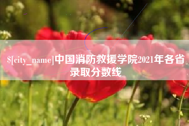 兴化中国消防救援学院2021年各省录取分数线