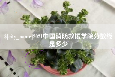兴化2021中国消防救援学院分数线是多少