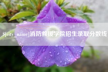 兴化消防救援学院招生录取分数线
