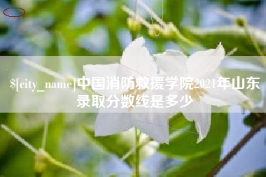 兴化中国消防救援学院2021年山东录取分数线是多少