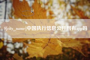 兴化中国执行信息公开网有app吗