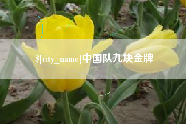 兴化中国队九块金牌