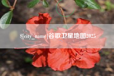兴化谷歌卫星地图2025