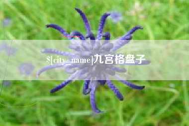 兴化九宫格盘子