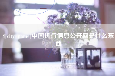 兴化中国执行信息公开网是什么东西