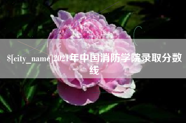 兴化2021年中国消防学院录取分数线