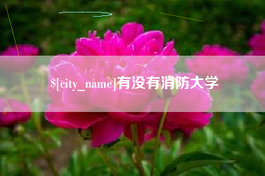 兴化有没有消防大学