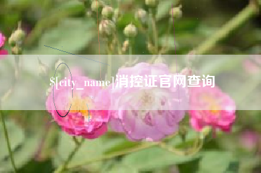 兴化消控证官网查询