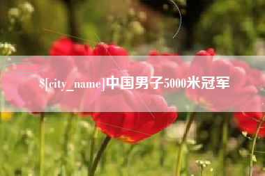 兴化中国男子5000米冠军