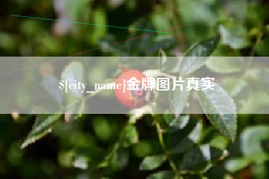 兴化金牌图片真实