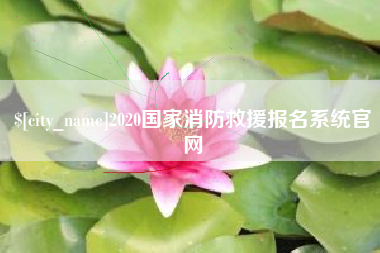兴化2020国家消防救援报名系统官网