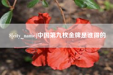 兴化中国第九枚金牌是谁得的