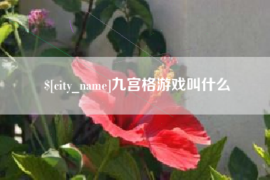 兴化九宫格游戏叫什么