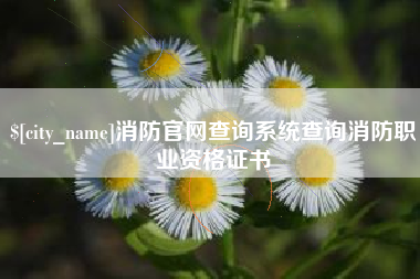 兴化消防官网查询系统查询消防职业资格证书