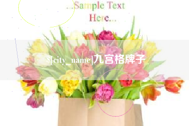兴化九宫格牌子