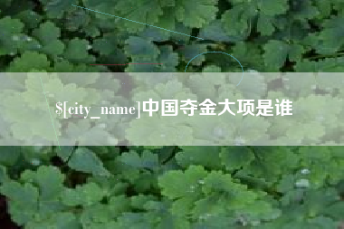 兴化中国夺金大项是谁