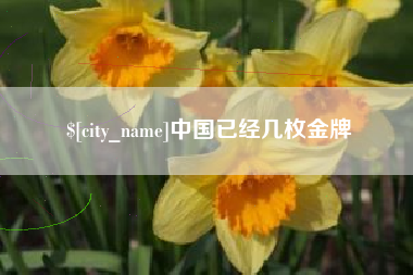 兴化中国已经几枚金牌