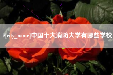 兴化中国十大消防大学有哪些学校