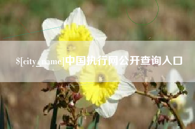 兴化中国执行网公开查询入口