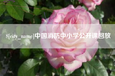 兴化中国消防中小学公开课回放