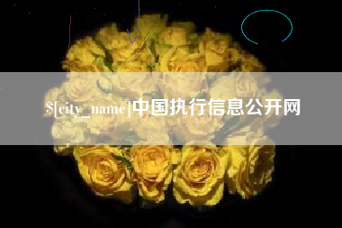 兴化中国执行信息公开网