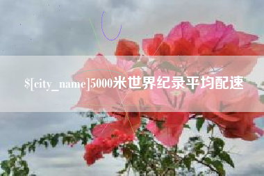 兴化5000米世界纪录平均配速