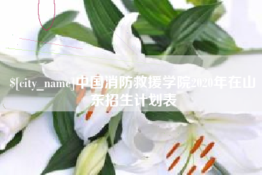 兴化中国消防救援学院2020年在山东招生计划表